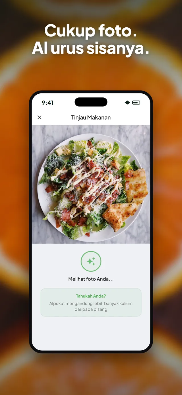 Aplikasi Wellix menganalisis foto salad di iPhone