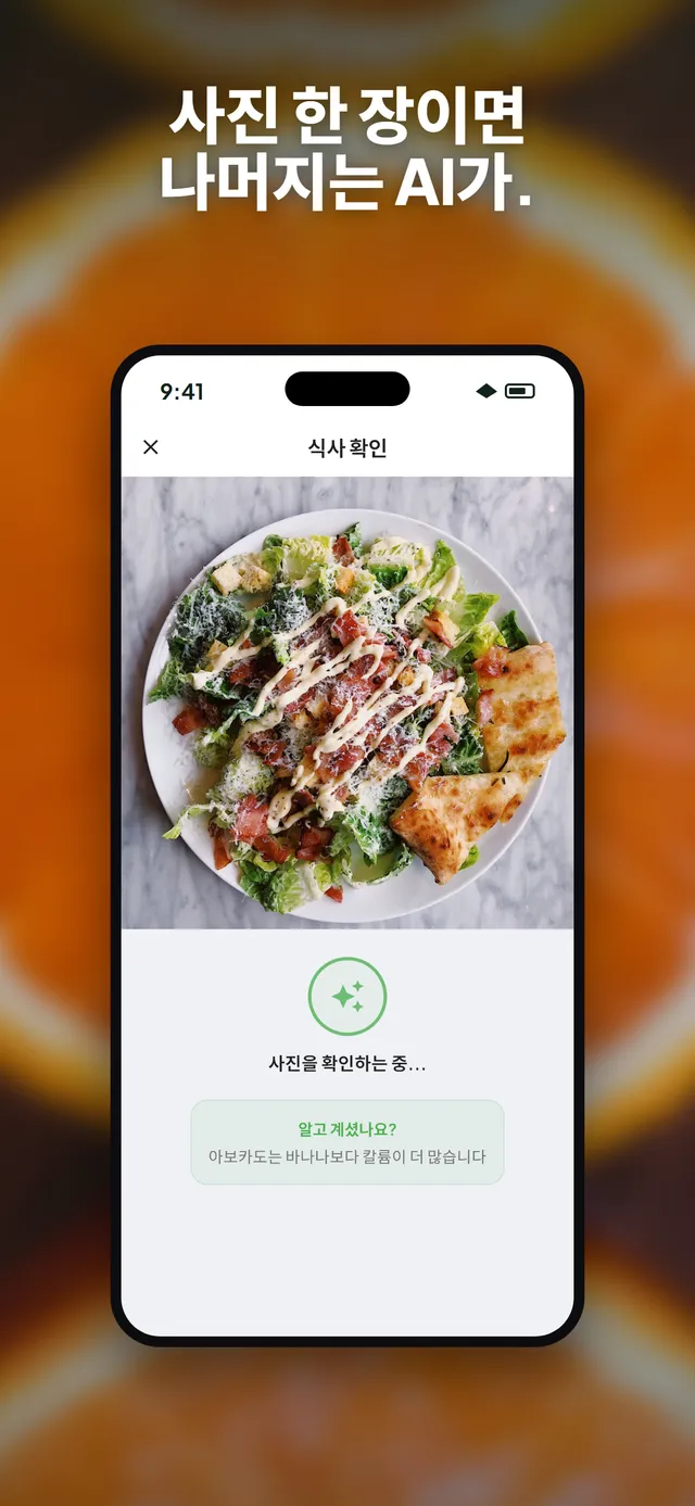 iPhone에서 샐러드 사진을 분석하는 Wellix 앱
