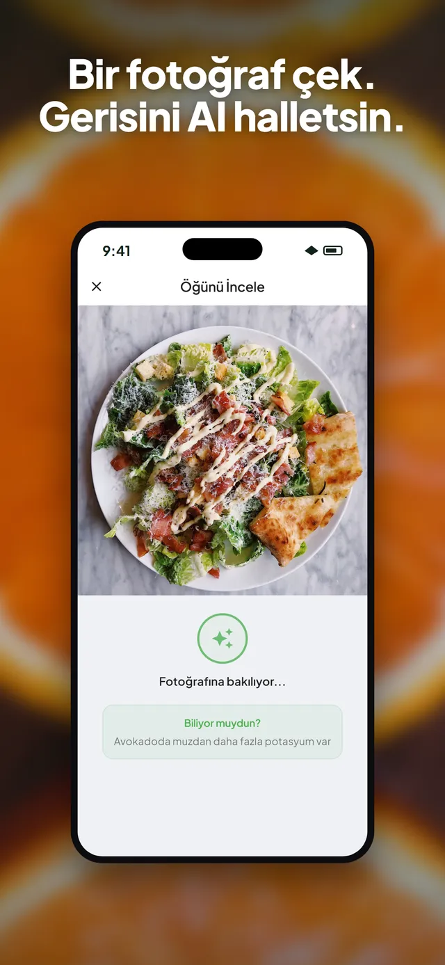 iPhone'da salata fotoğrafını analiz eden Wellix uygulaması
