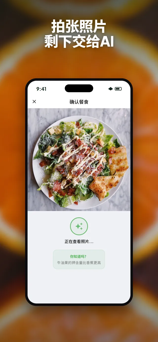 Wellix 应用在 iPhone 上分析沙拉照片